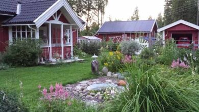 Photo of Обустройство участка