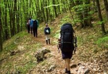 Photo of Отправляемся в поход. Что взять с собой?