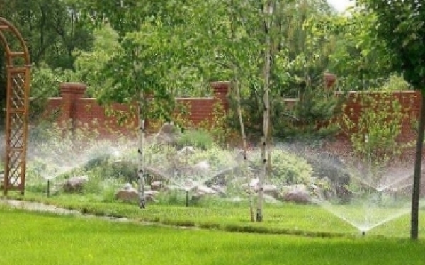 Photo of Как сделать так, чтобы полив на даче был автоматическим